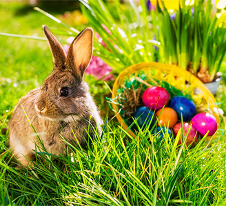 Frohe Ostern 2021 wuenscht das TEAM von Ingrid-Baender